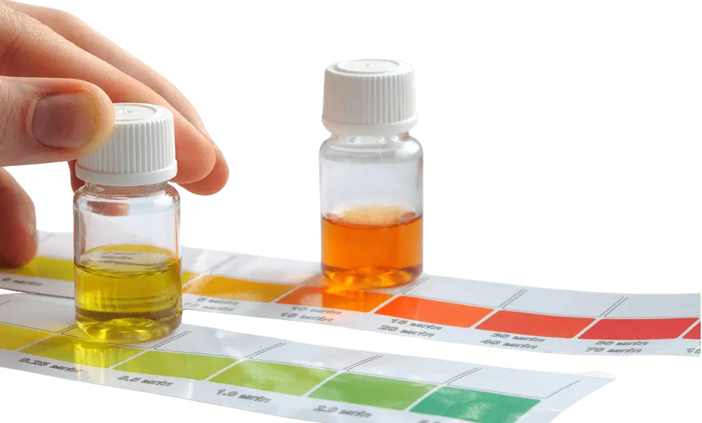 Water Analysis Test - Kellyville Pets