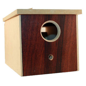 Bird Nest Box Finch