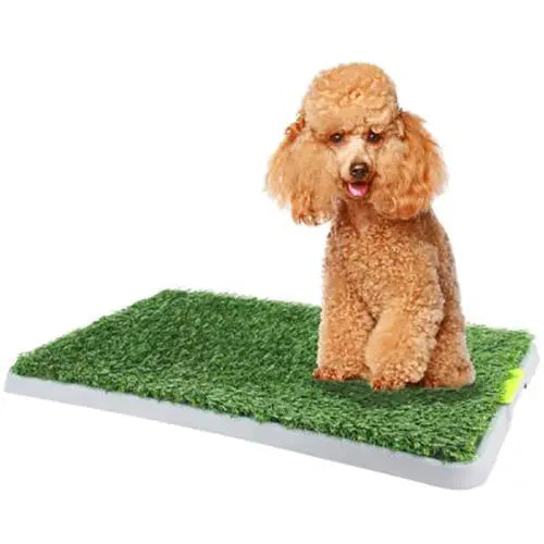 PaWise Green Dog Toilet Trainer PaWise