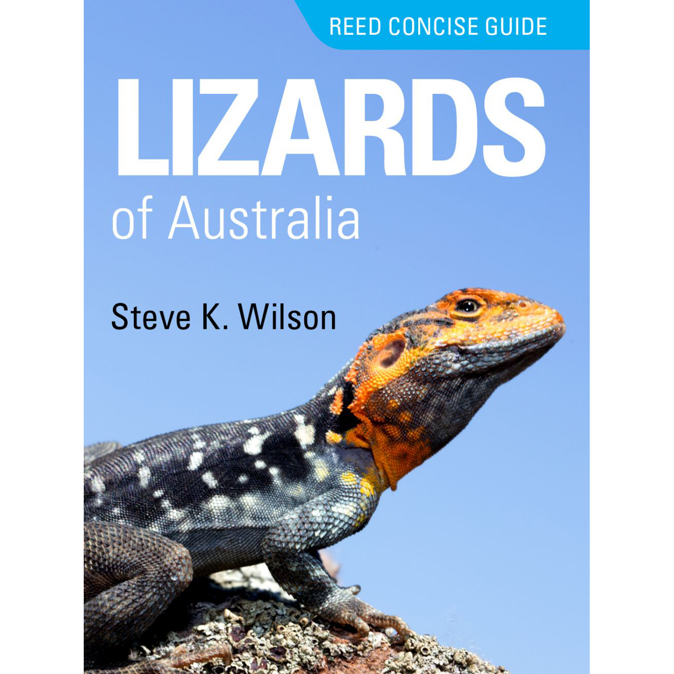 Reed Concise Guide Lizards Of Australia