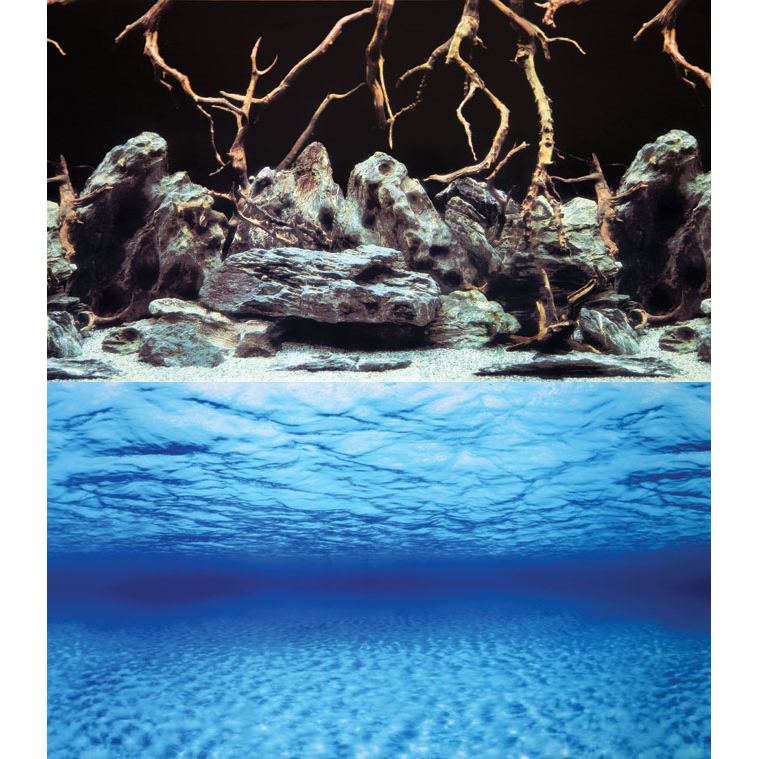 Aquarium Background Per Foot
