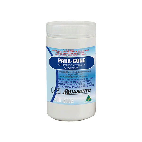 Aquasonic Paragone Aquasonic