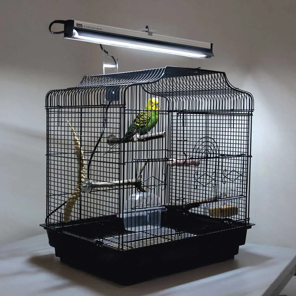 Arcadia UVB Bird Light PureSun Kit Midi 14W - Kellyville Pets