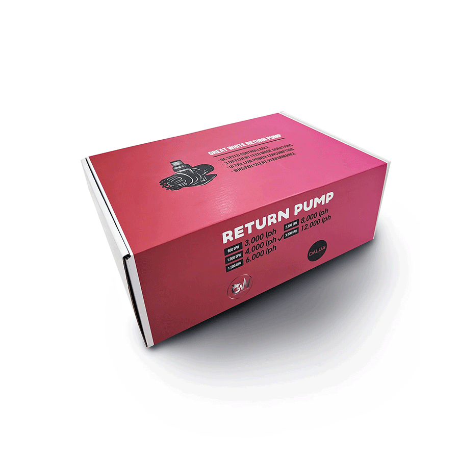 Dalua Great White Return Pump The Great White