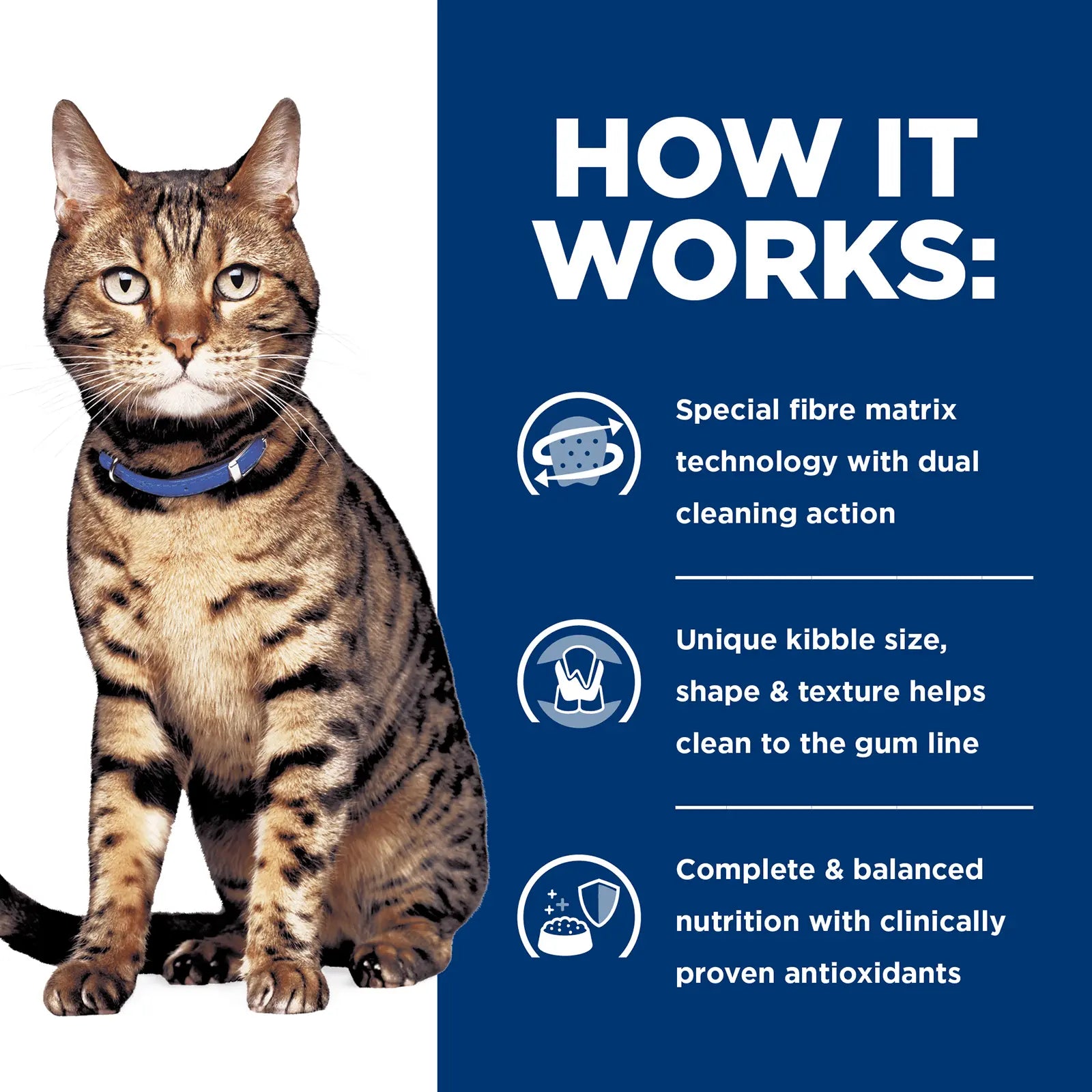 Hill's Prescription Diet Cat Food t/d Dental Care - Kellyville Pets