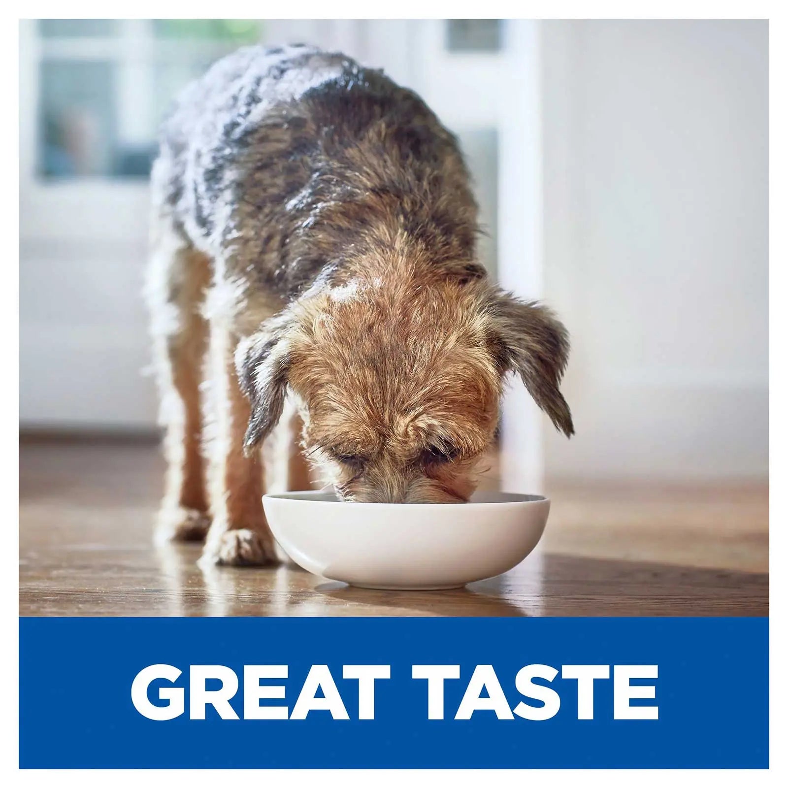 Hill's Prescription Diet Dog Food Can i/d Low Fat Digestive Care Chicken & Vegetable Stew - Kellyville Pets