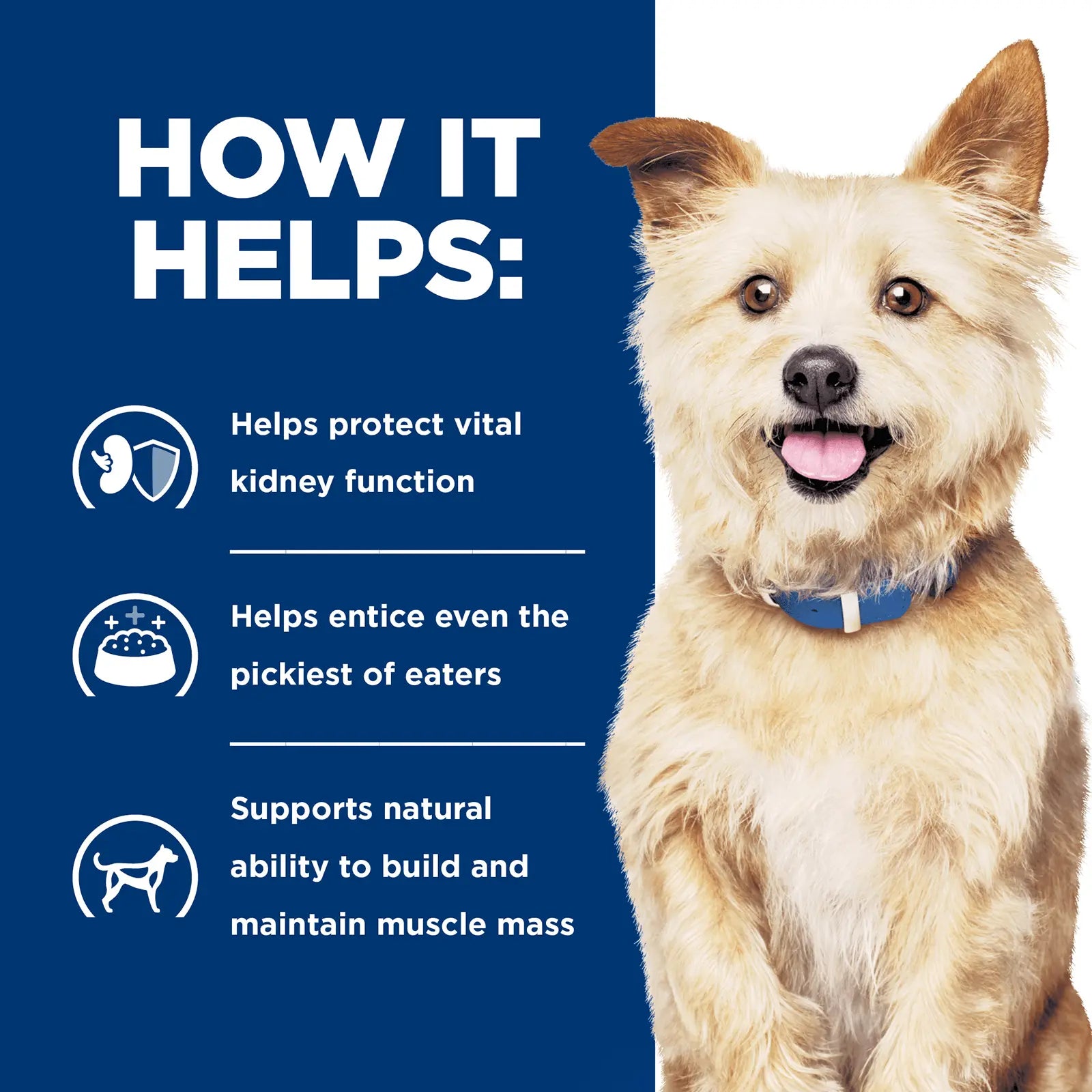 Hill's Prescription Diet Dog Food Can k/d Kidney Care with Chicken - Kellyville Pets