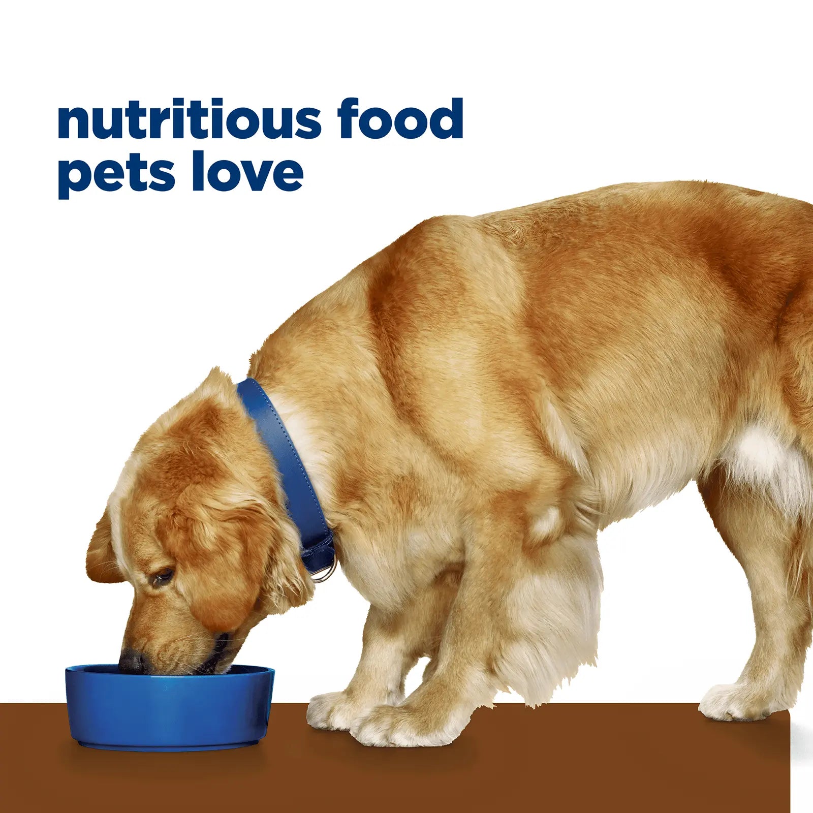 Hill's Prescription Diet Dog Food j/d Mobility Care - Kellyville Pets