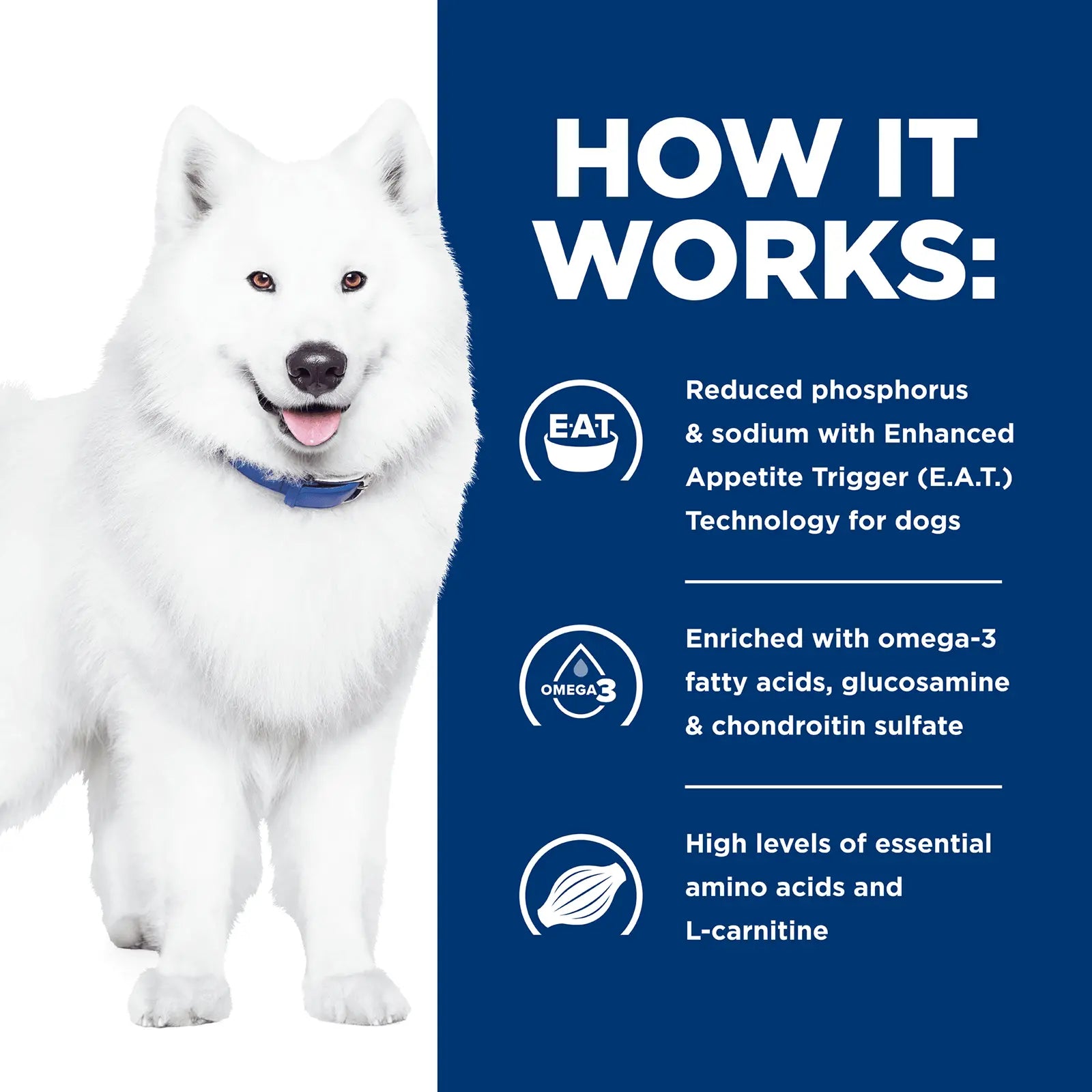 Hill's Prescription Diet Dog Food k/d Kidney Care + j/d Mobility Care - Kellyville Pets