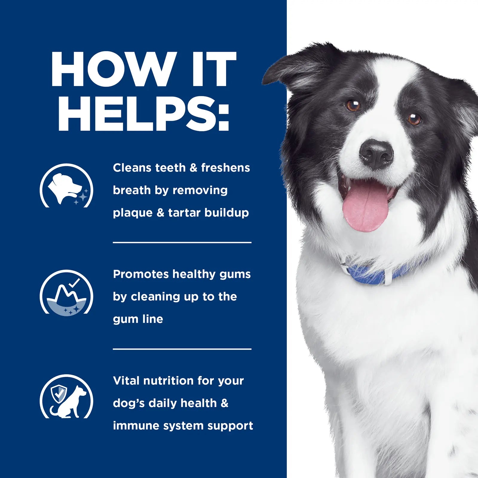 Hill's Prescription Diet Dog Food t/d Dental Care - Kellyville Pets