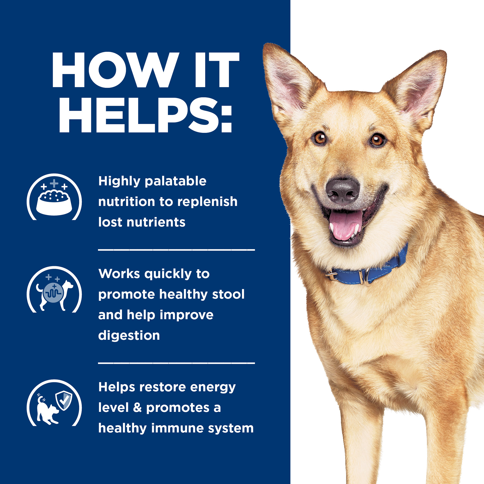 Hill's Prescription Diet Dog Food i/d Digestive Care
