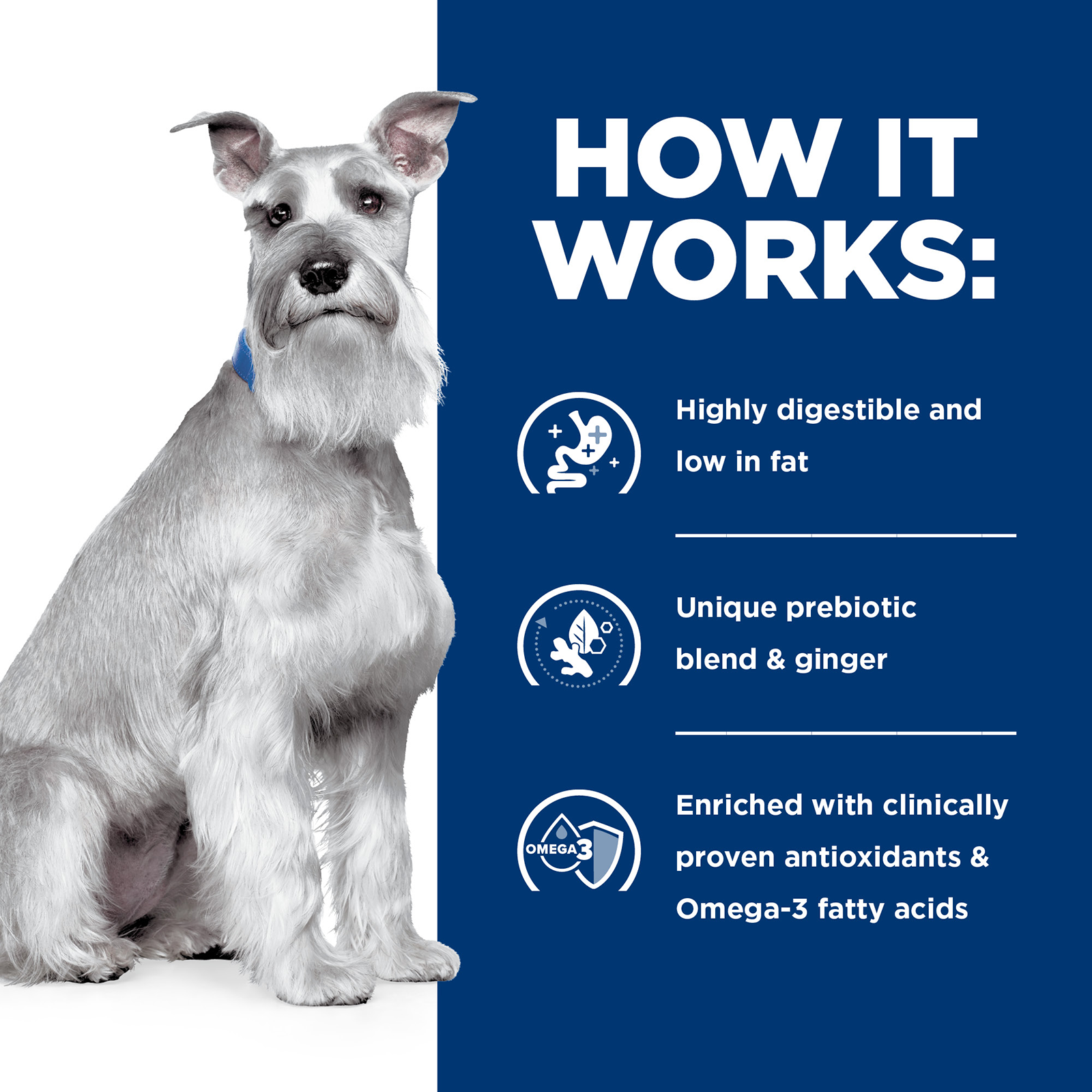 Hill's Prescription Diet Dog Food i/d Low Fat Digestive Care