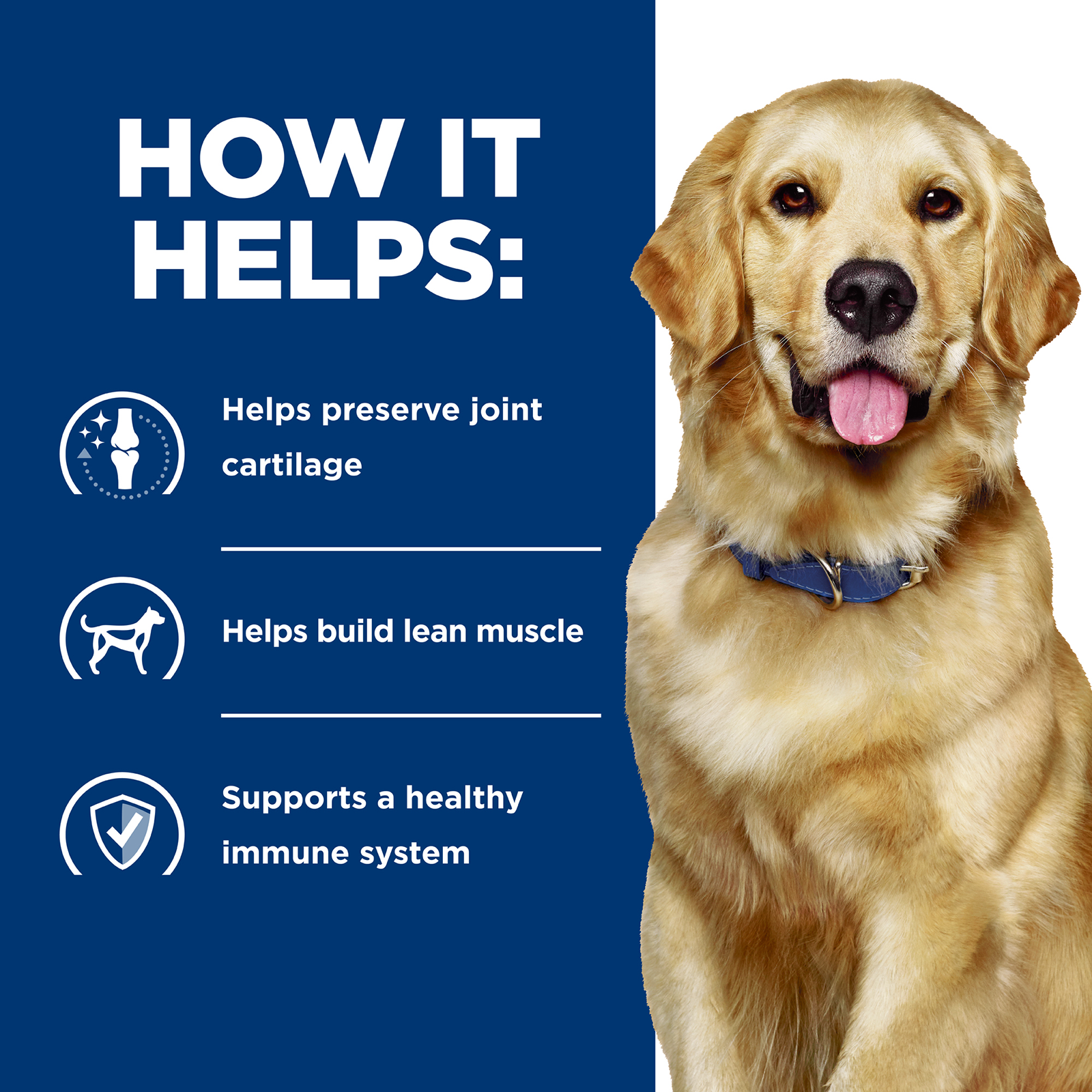 Hill's Prescription Diet Dog Food j/d Mobility Care