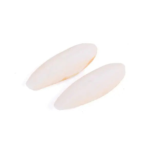 Kazoo Cuttlebone Natural - Kellyville Pets