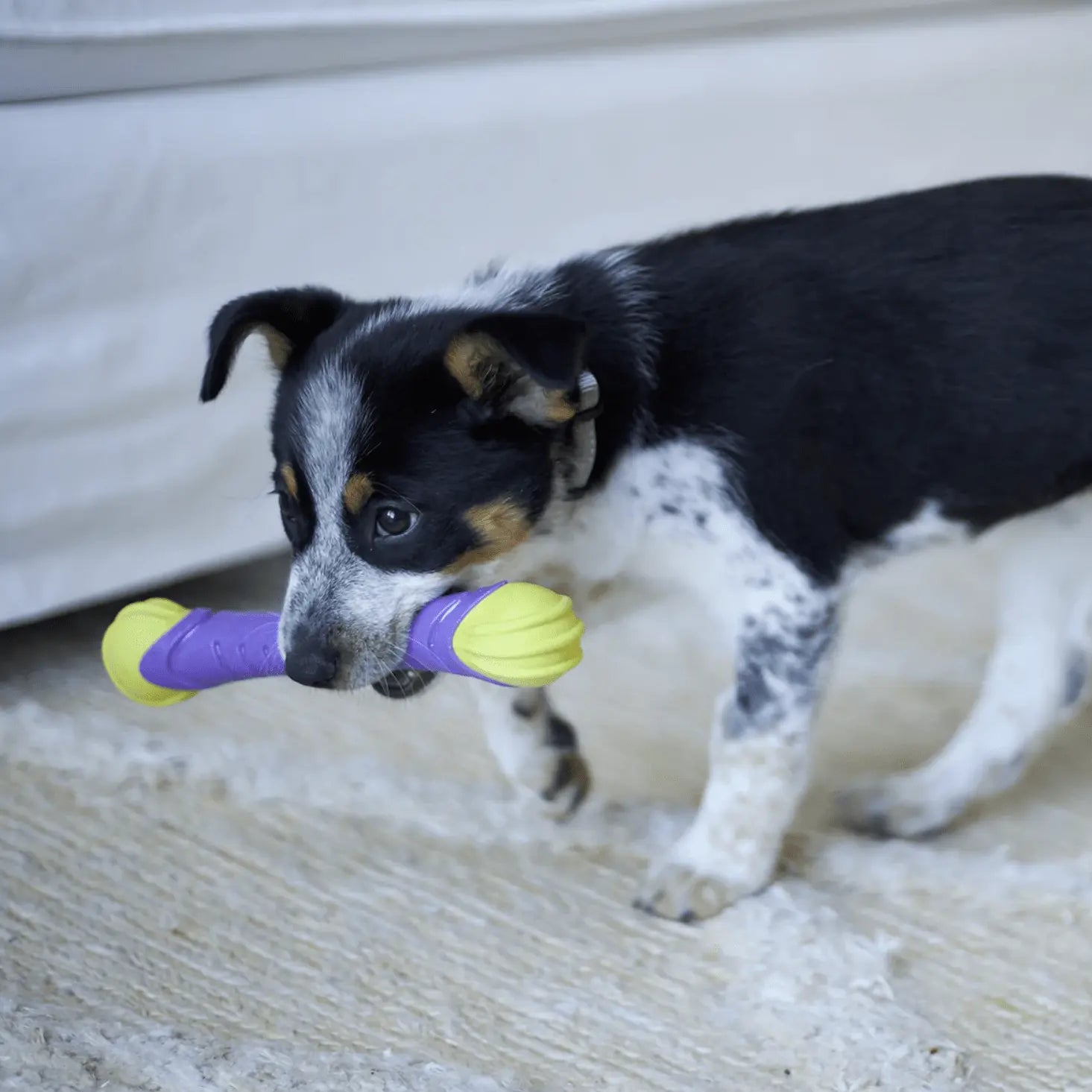 Kazoo Dog Toy Extreme Play Chew Stick - Kellyville Pets