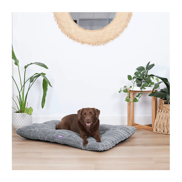 Kazoo Storm Pillow Cool Grey Dog Bed Kazoo