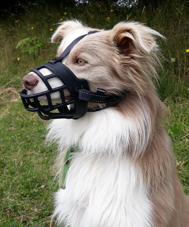 Huskimo Specialist Freedom Dog Muzzle