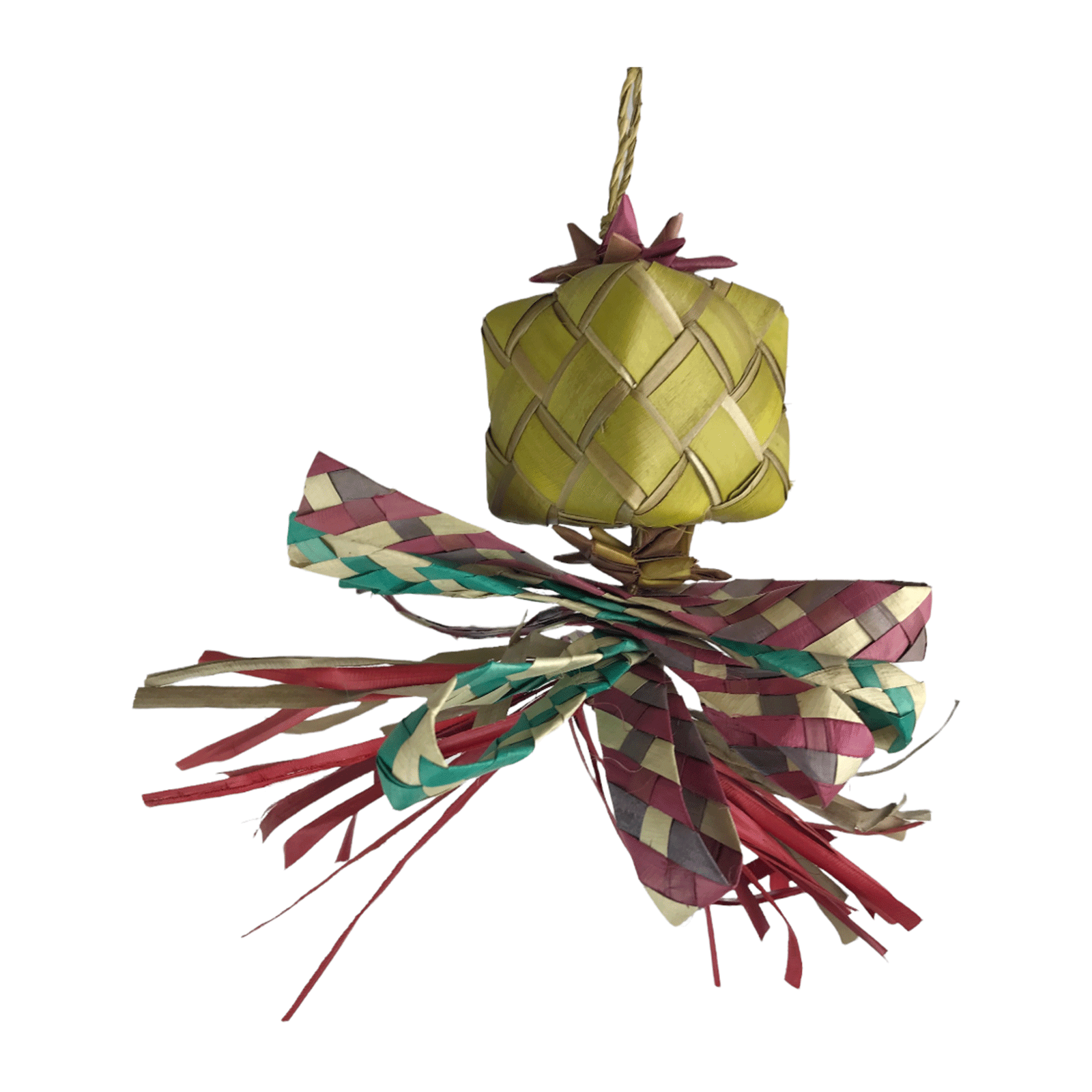 Nino's Java Bird Toy Gift Wrapped Ninos Java