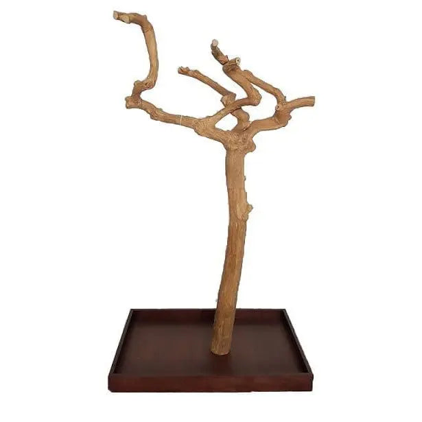 Nino's Java Floor Stand - Kellyville Pets