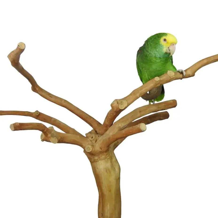 Nino's Java Table Top Stand - Kellyville Pets