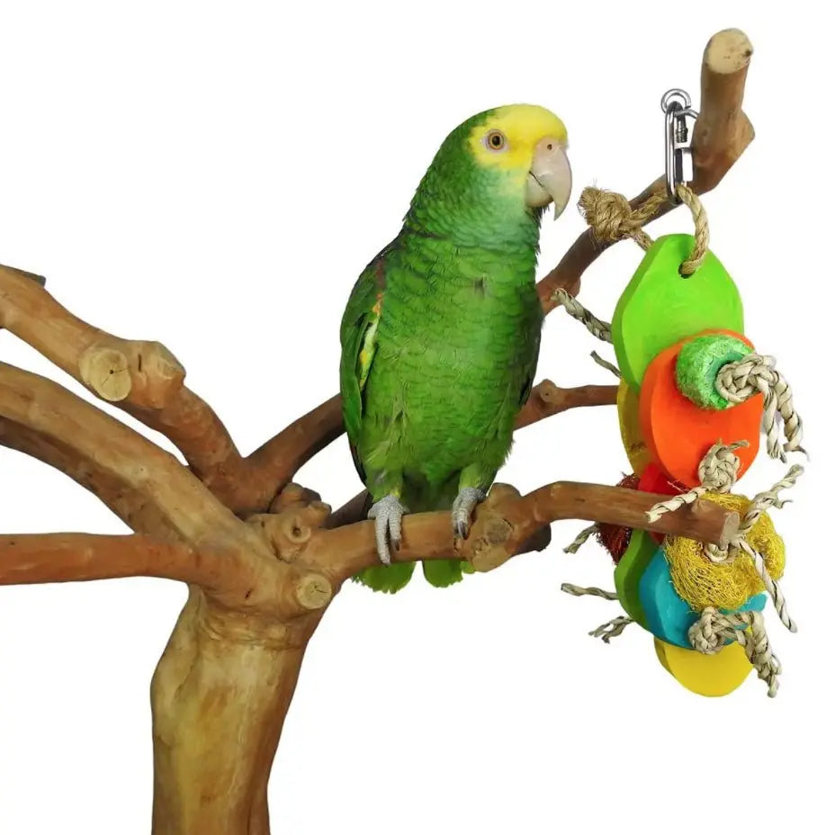 Nino's Java Table Top Stand - Kellyville Pets