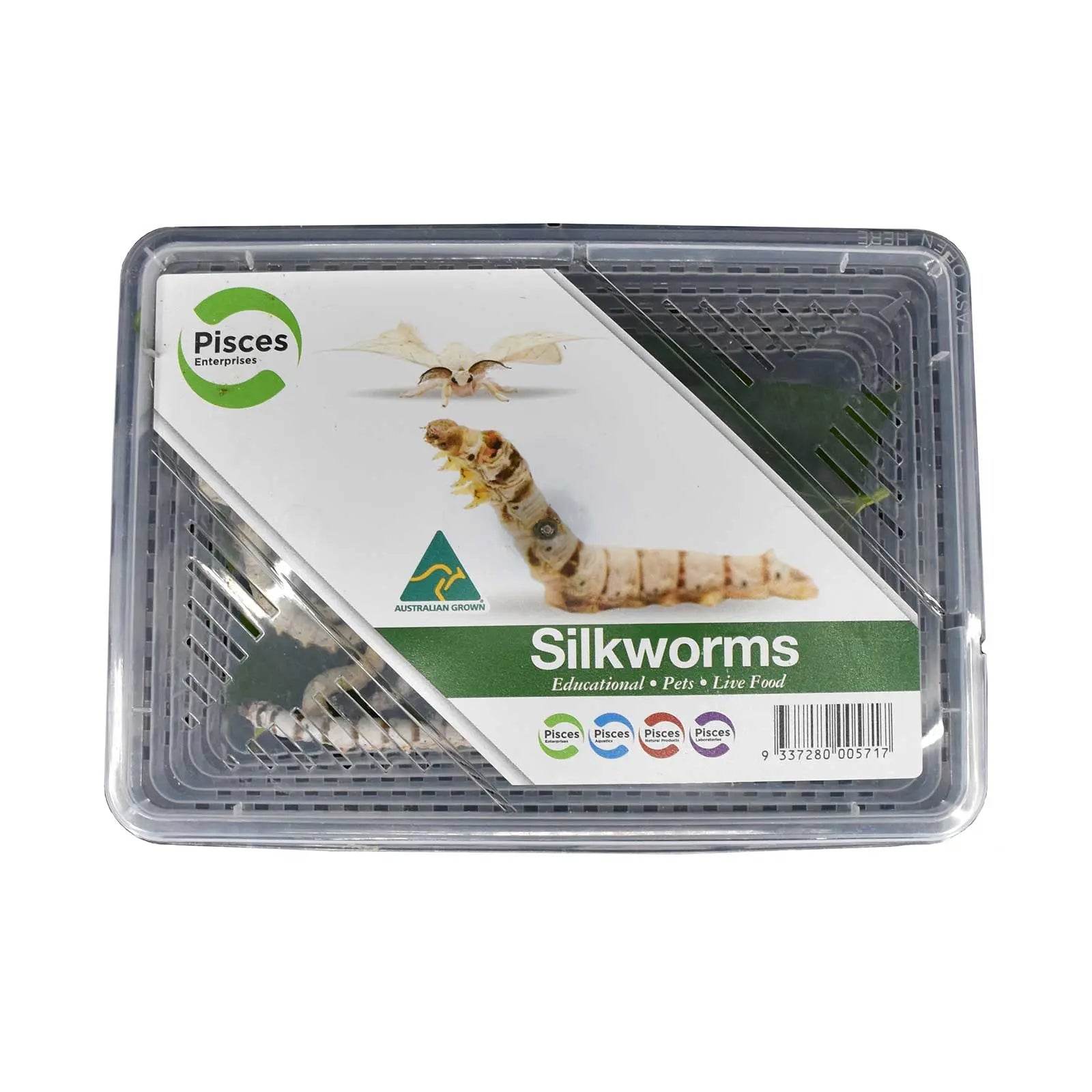 Live Silkworms Pisces Enterprises