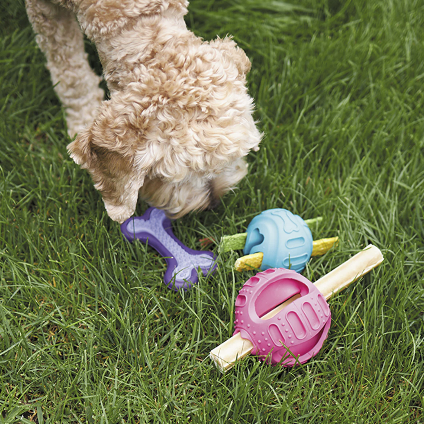 Kazoo Dog Toy Chew & Treat Enrichment Ball
