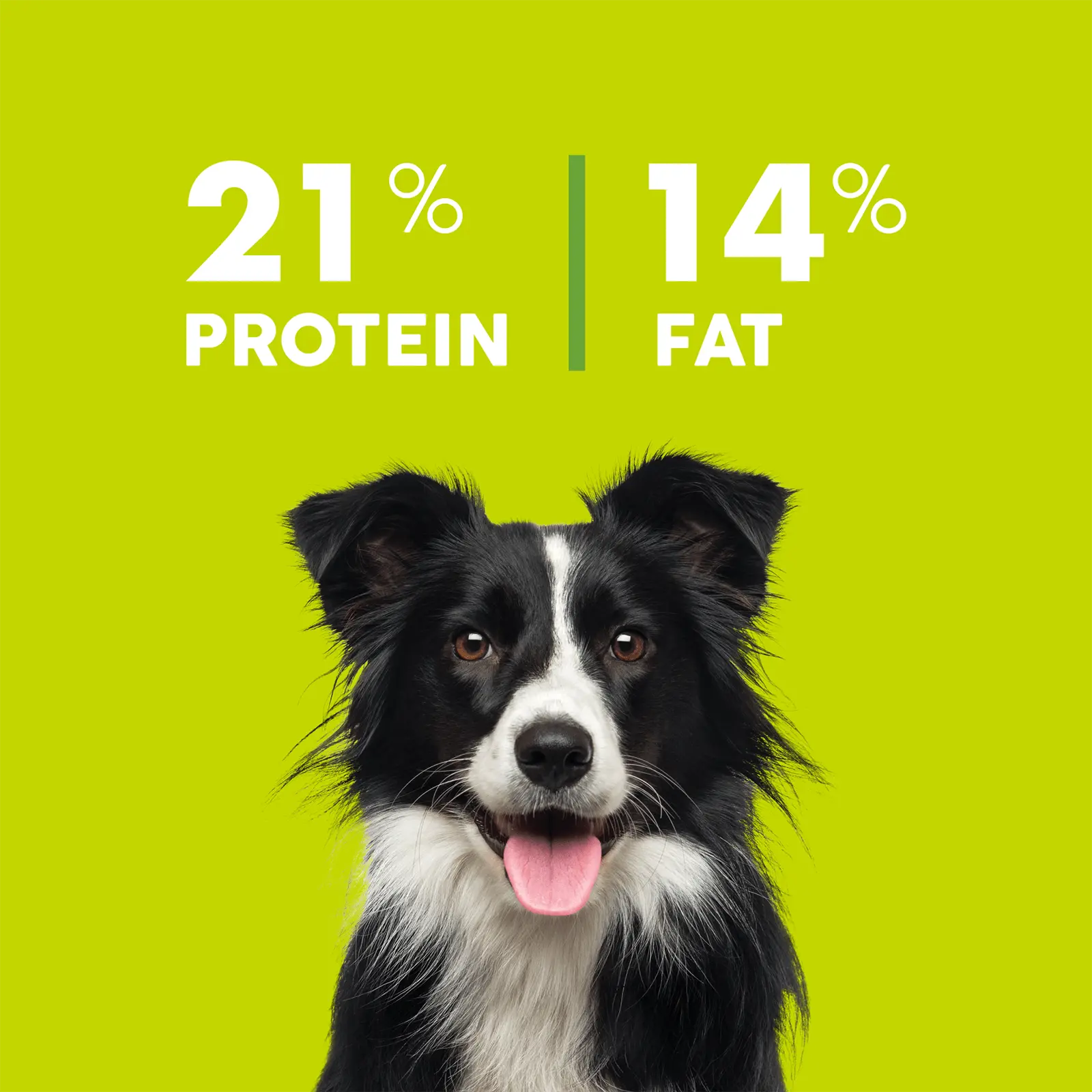 True Colours Dog Food Adult Chicken & Rice - Kellyville Pets