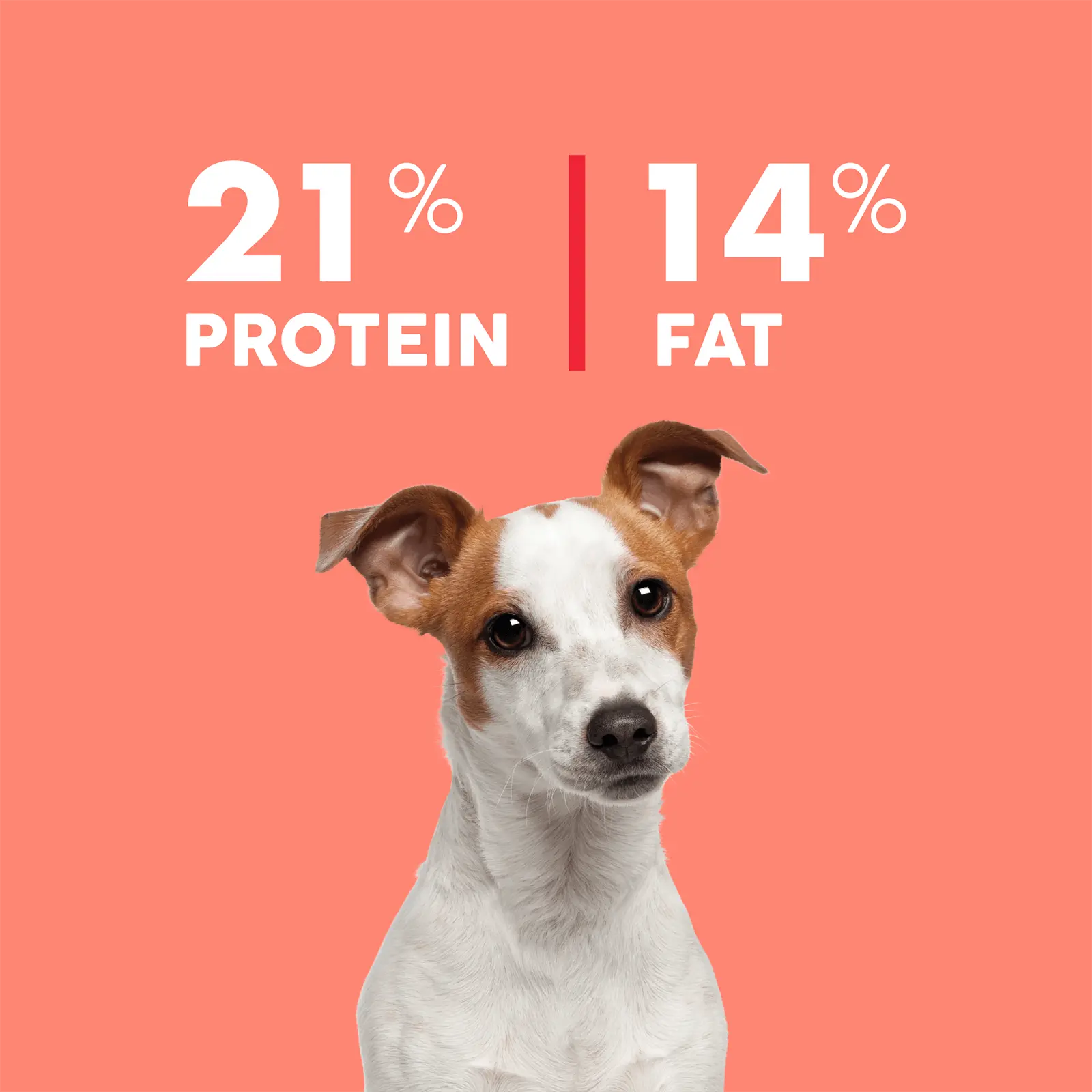 True Colours Dog Food Adult Fish & Rice - Kellyville Pets