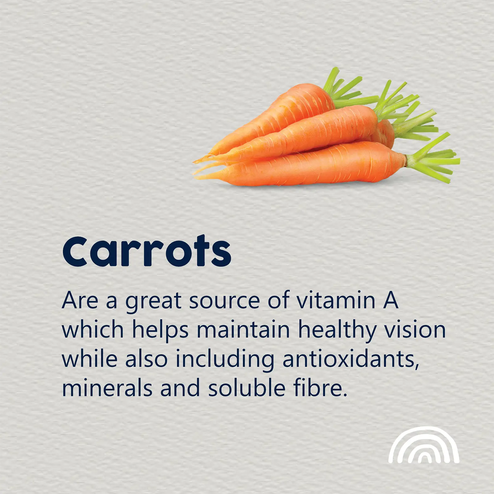 True Colours Dog Food Adult Lamb & Rice - Kellyville Pets