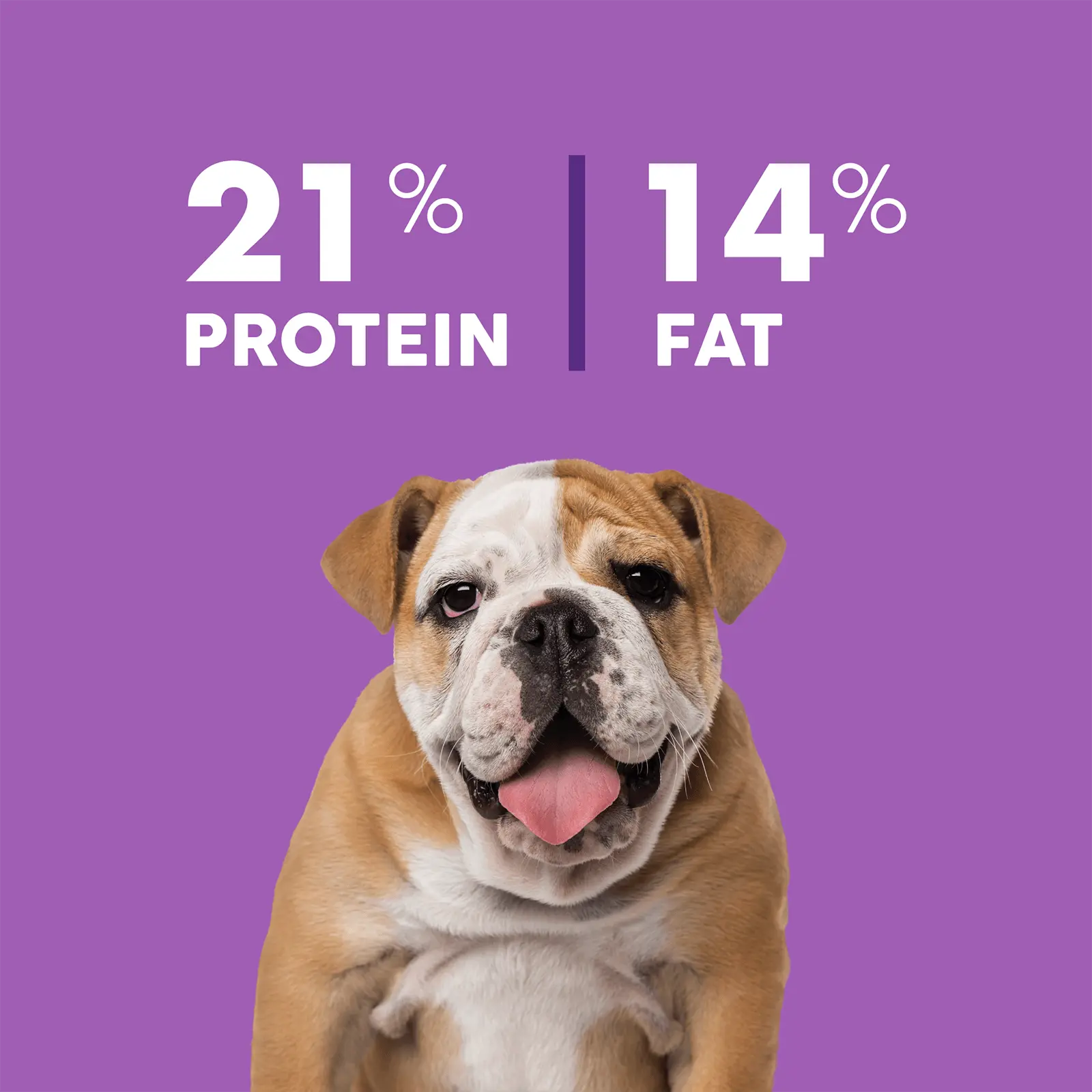 True Colours Dog Food Adult Lamb & Rice - Kellyville Pets