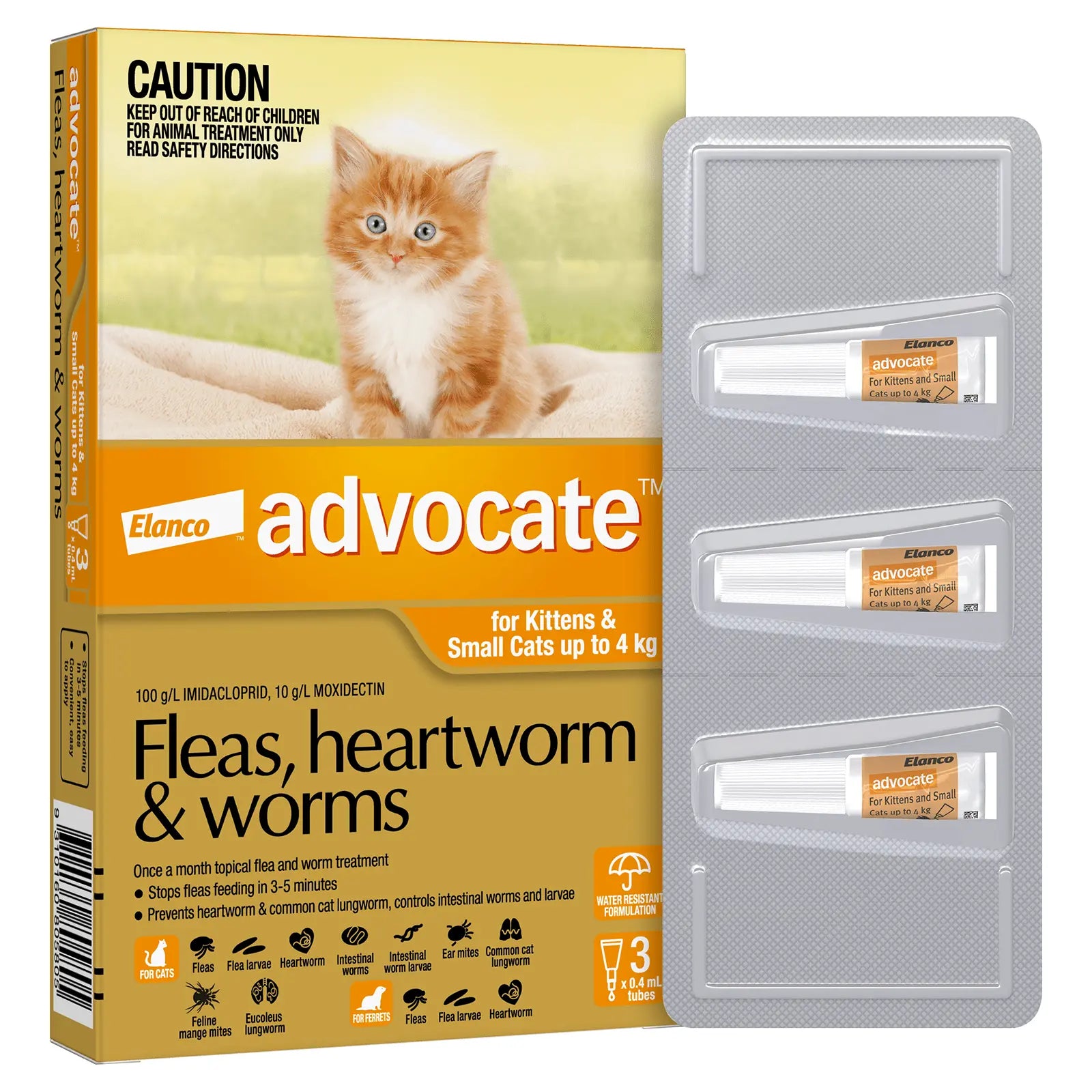 Advocate for Cats - Kellyville Pets