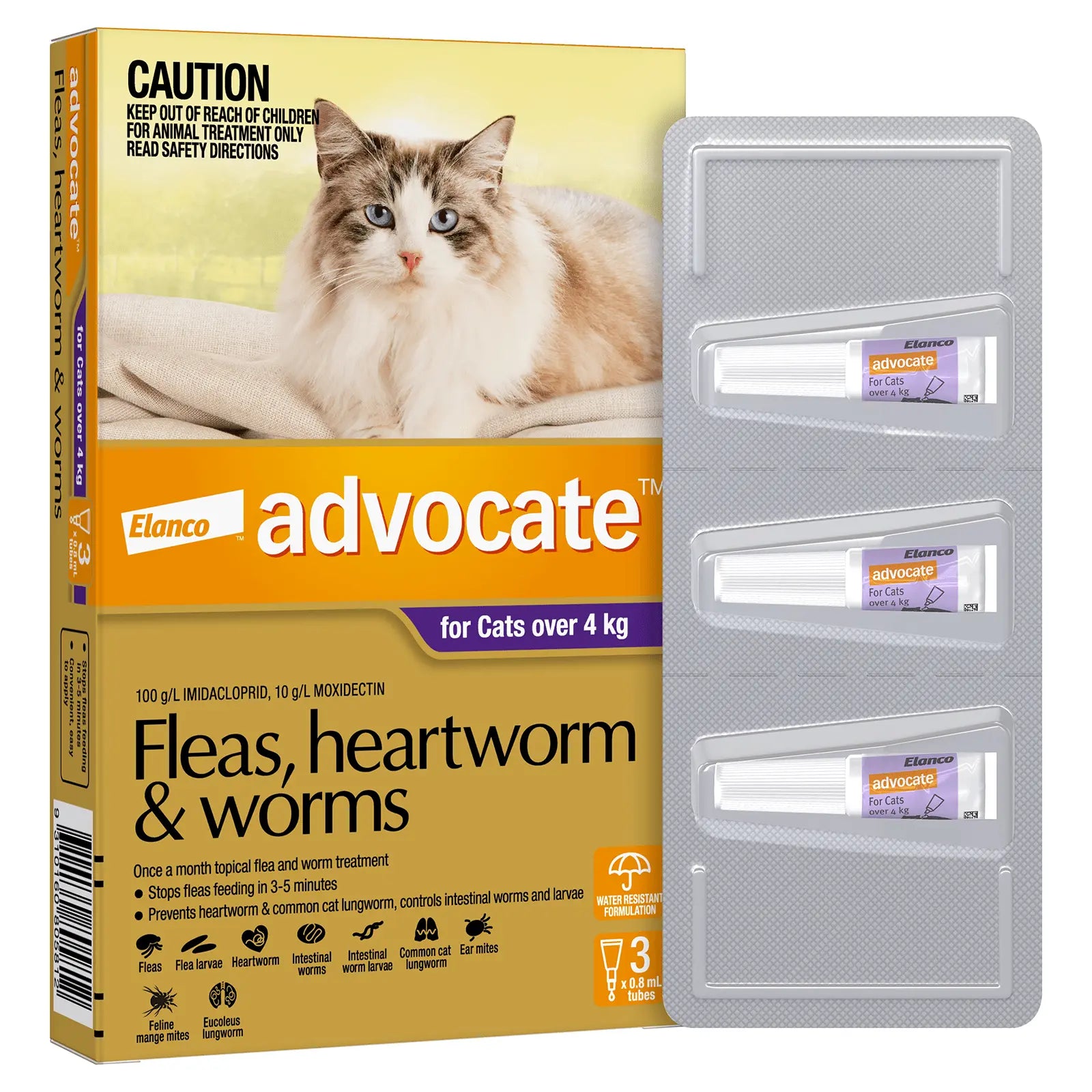 Advocate for Cats - Kellyville Pets