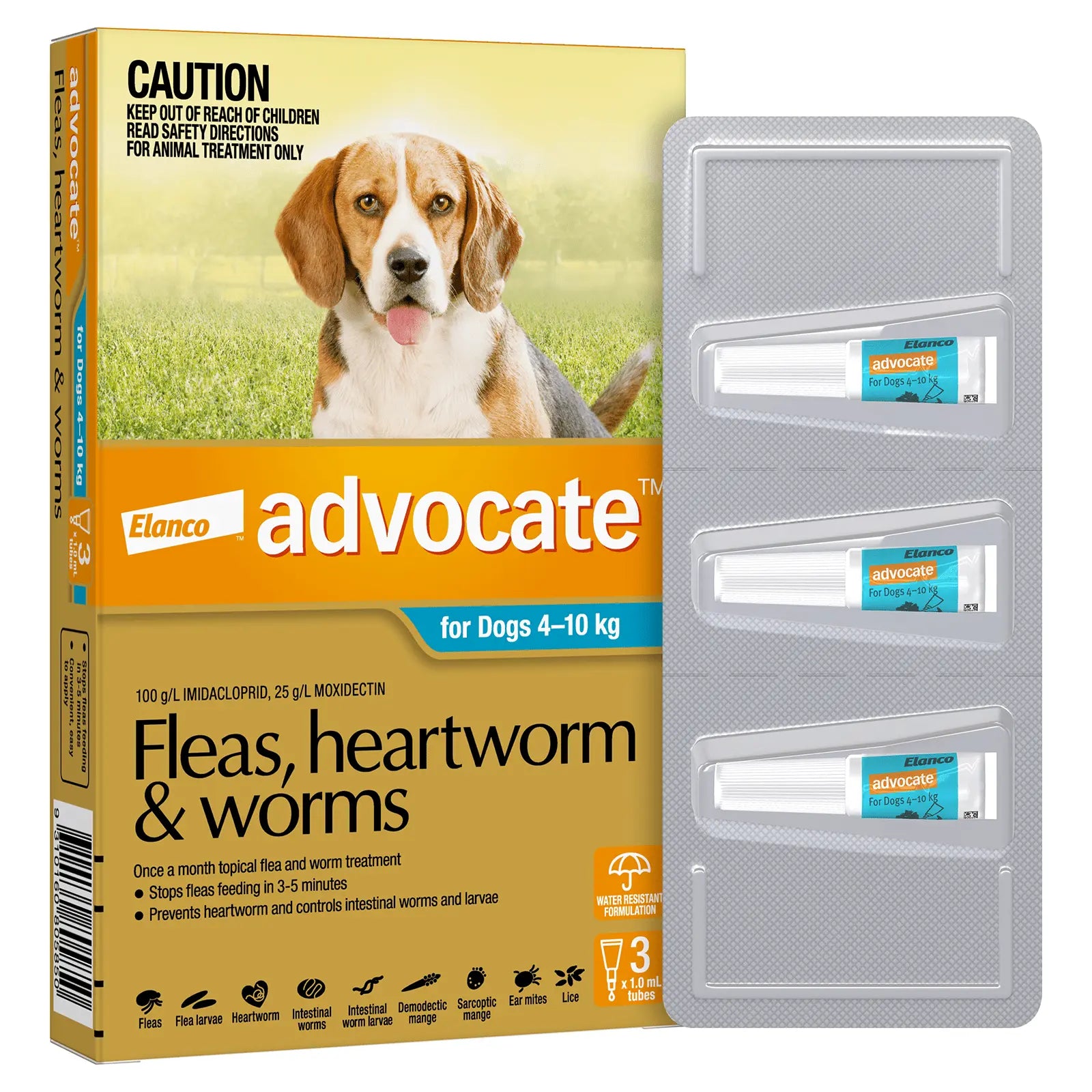 Advocate for Dogs - Kellyville Pets