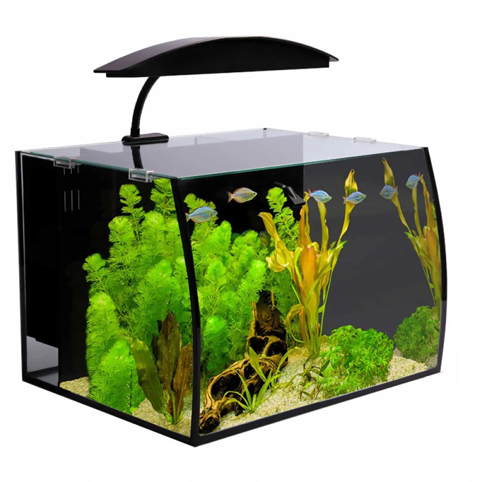 Aqua One Arc 30 Tank - Kellyville Pets
