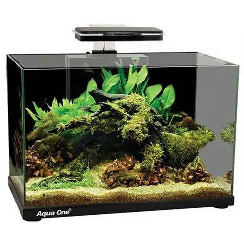 Aqua One Focus Tank 36L Black - Kellyville Pets