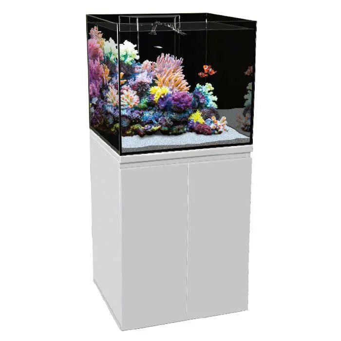 Aqua One ReefSys 255 Marine Aquarium Kit - Kellyville Pets
