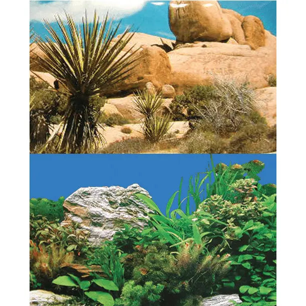 Aquarium Background Per Foot - Kellyville Pets