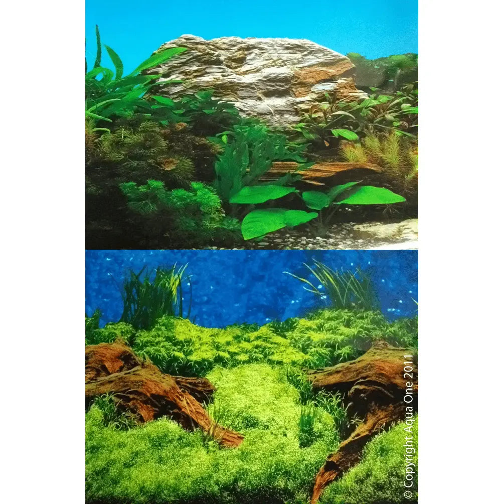 Aquarium Background Per Foot - Kellyville Pets
