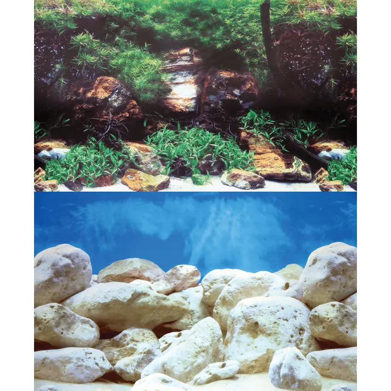 Aquarium Background Per Foot - Kellyville Pets