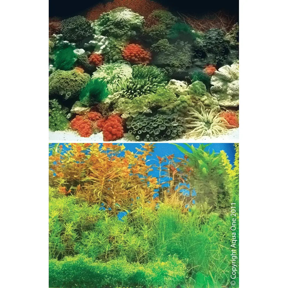 Aquarium Background Per Foot - Kellyville Pets