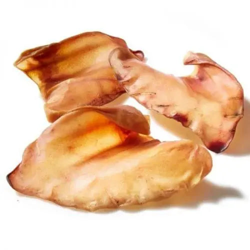 Australian Pigs Ear Dog Treat - Kellyville Pets