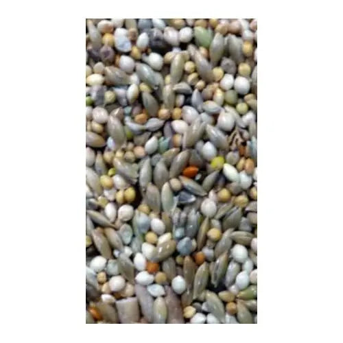 Avigrain Budgie Blue 20kg - Kellyville Pets