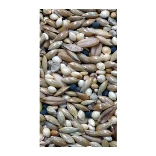 Avigrain Canary Mix 20kg - Kellyville Pets
