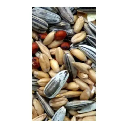 Avigrain Cocky Mix 20kg - Kellyville Pets