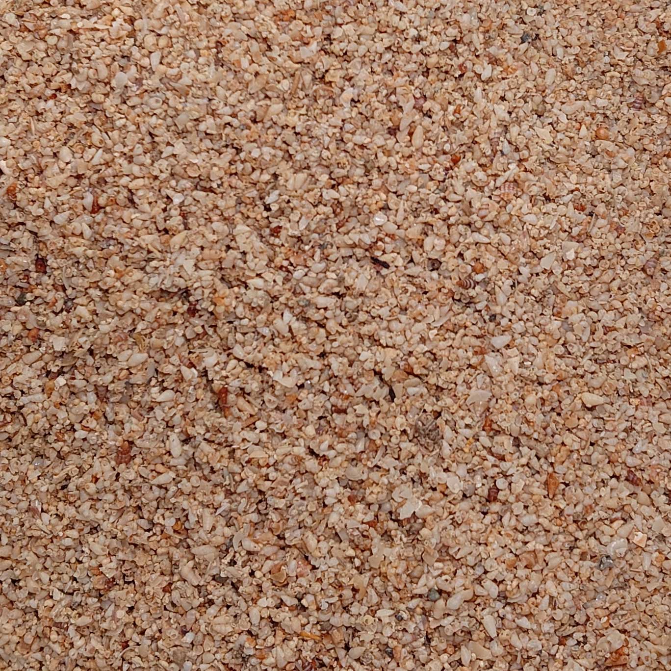 Avigrain Grit Fine 20kg - Kellyville Pets