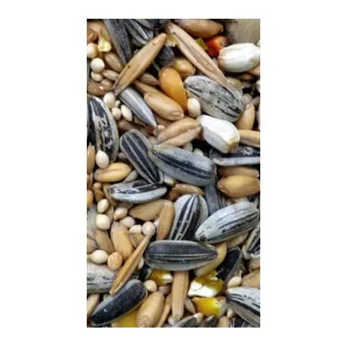 Avigrain Parrot Blue Fruit & Nut Mix - Kellyville Pets