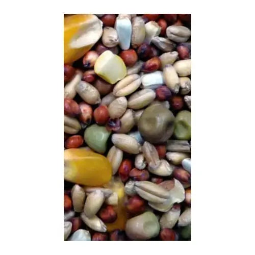 Avigrain Pigeon Mix 20kg - Kellyville Pets