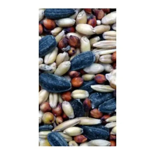 Avigrain Wild Bird Mix 20kg - Kellyville Pets