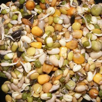 Birdzone Chunky Sprouts 250g - Kellyville Pets